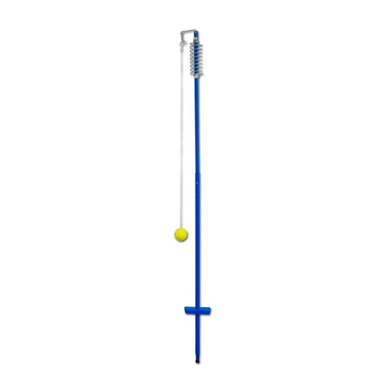 Regent Spin Tennis