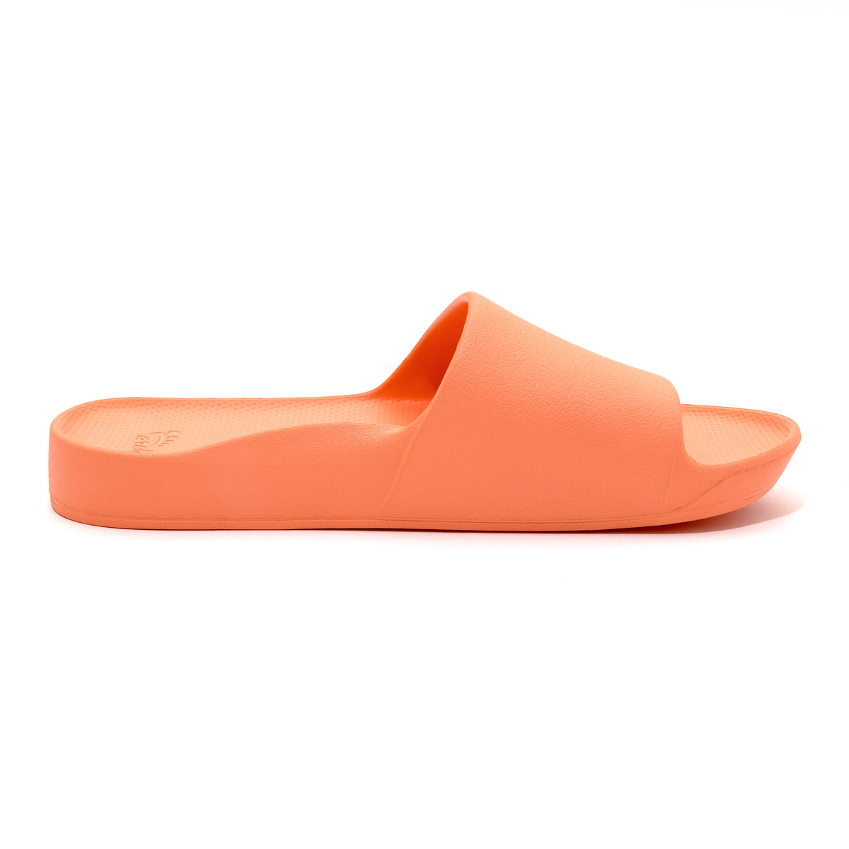 Archies Arch Support Slides