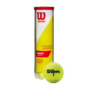 Wilson Championship Extra Duty 4 Ball Can