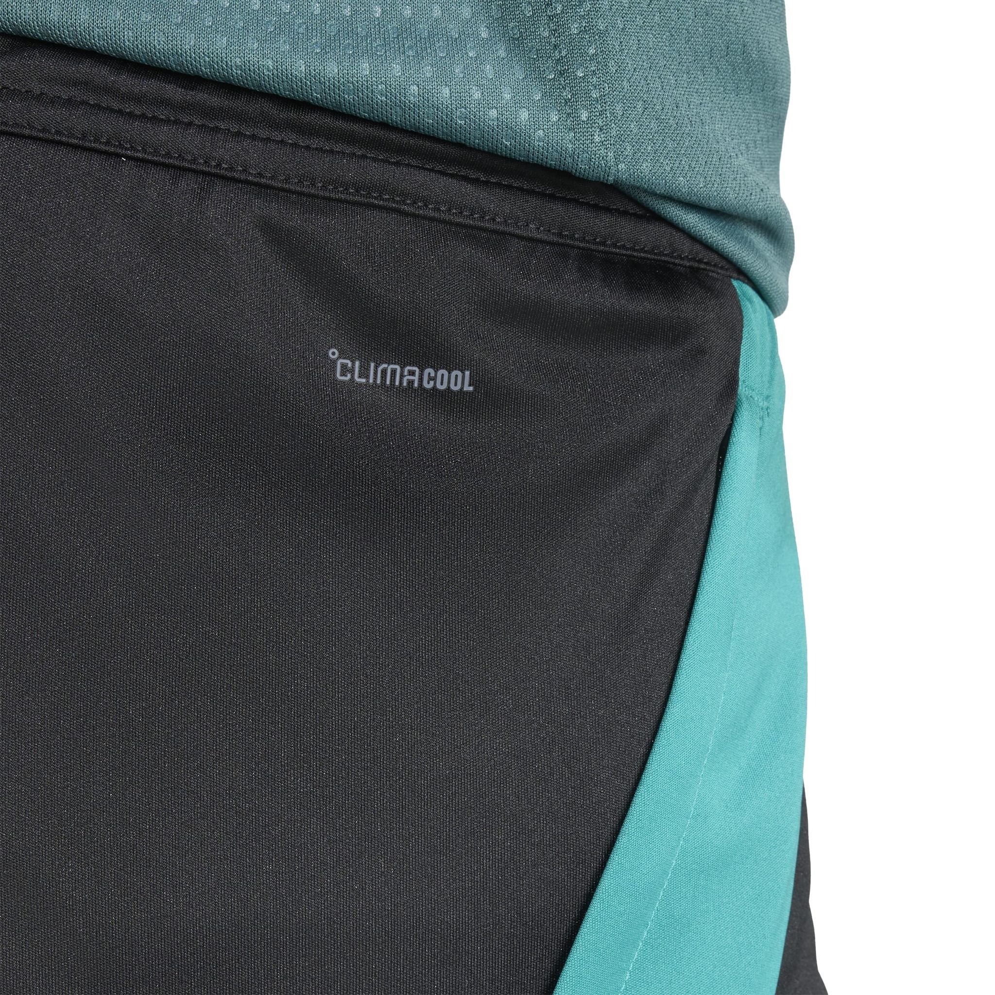 adidas All Blacks Mens Gym Shorts
