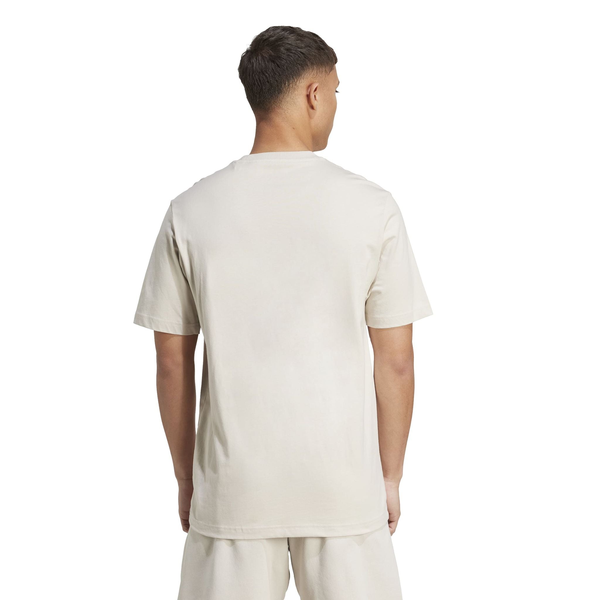 adidas Collegiate Lineage Graphic Mens Tee