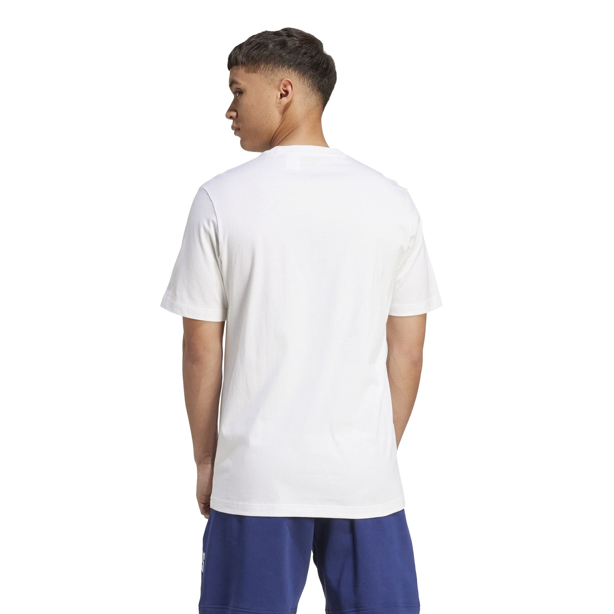 adidas Collegiate Lineage Graphic Mens Tee