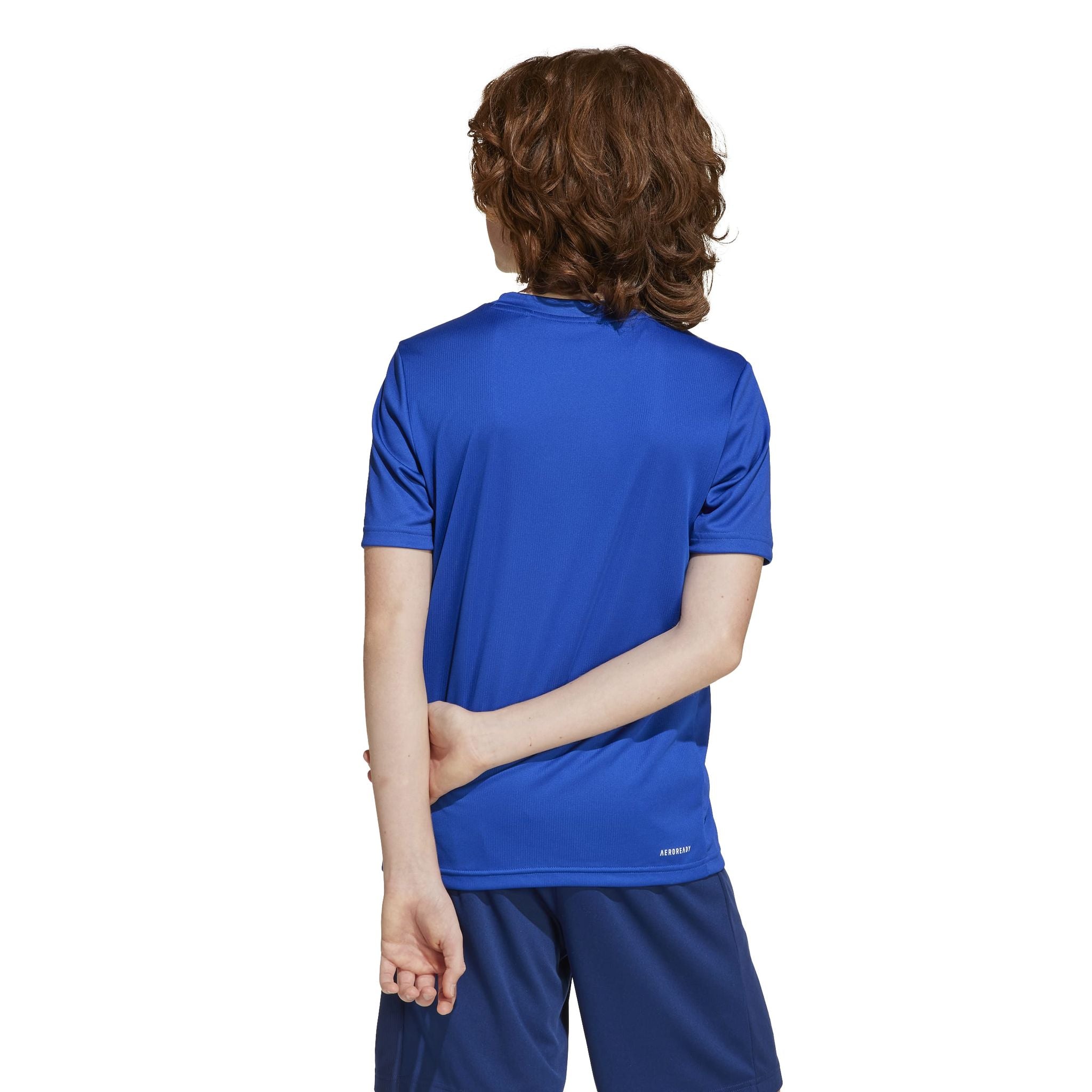 adidas Train Essentials Logo Regular Fit Kids Tee
