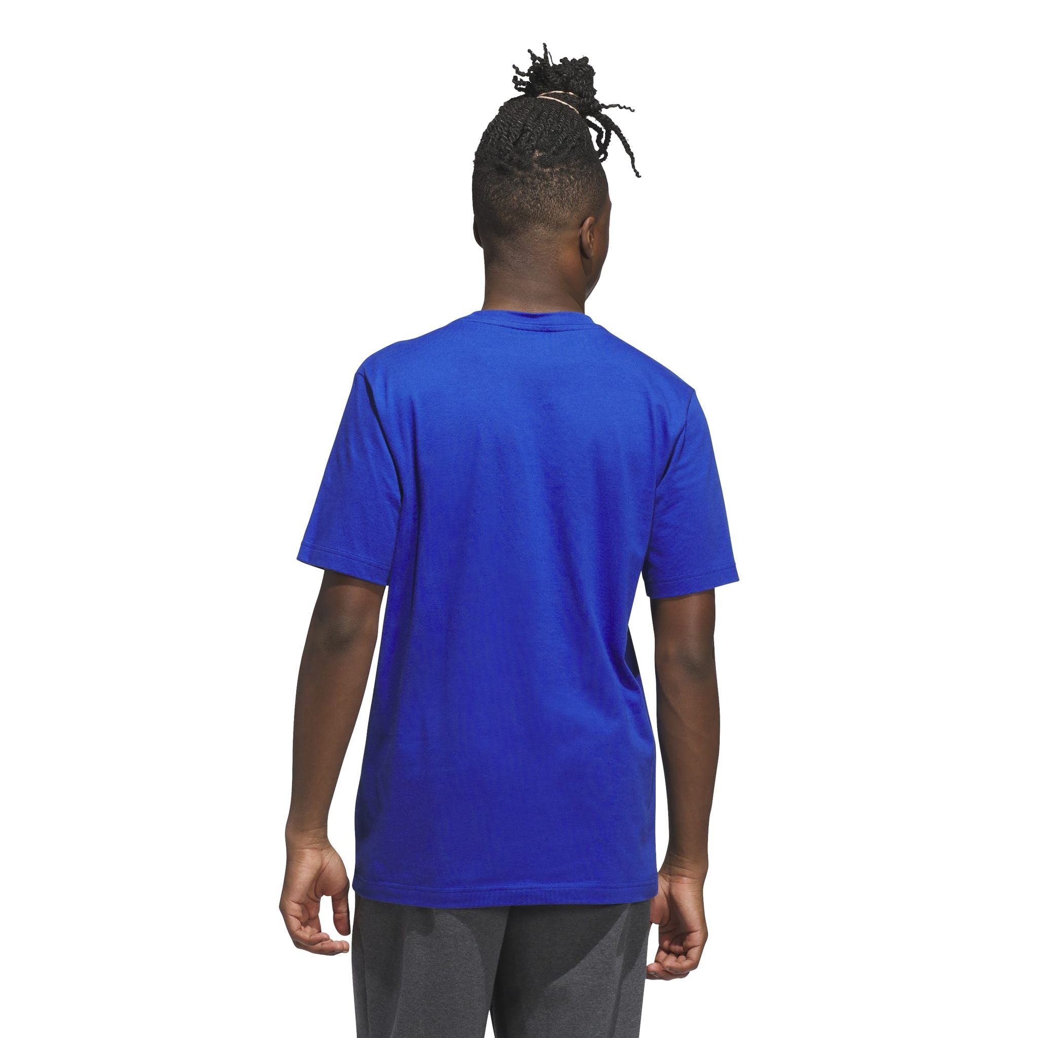 adidas Varsity Crest Mens Graphic Tee