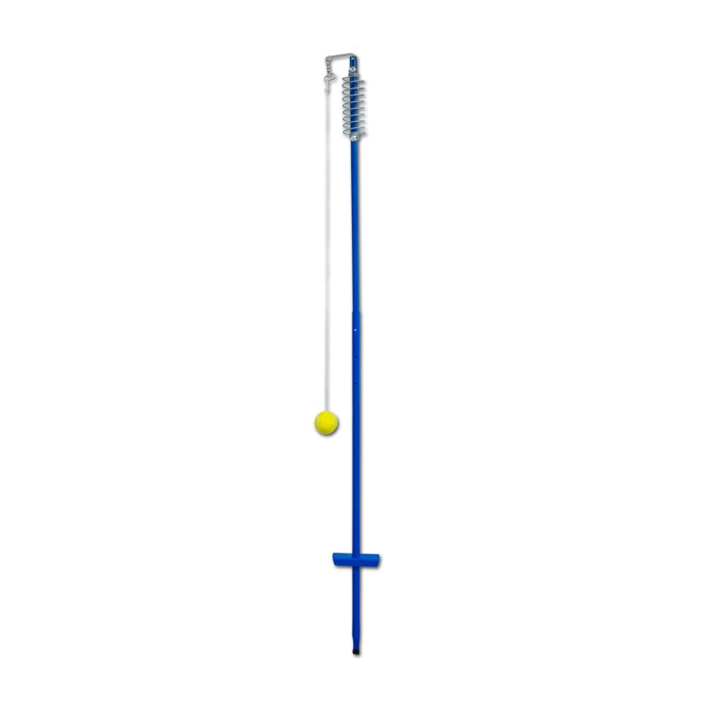 Regent Spin Tennis Img 1 | SportsPower